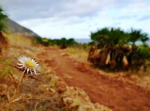 Foto offerta TREKKING IN SICILIA, immagini dell'offerta TREKKING IN SICILIA di Ovunque viaggi.